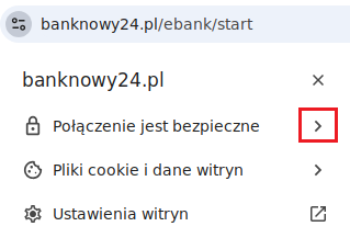 Okno informacji o witrynie z zaznaczonym przyciskiem 'Pokaż szczegóły połączenia'